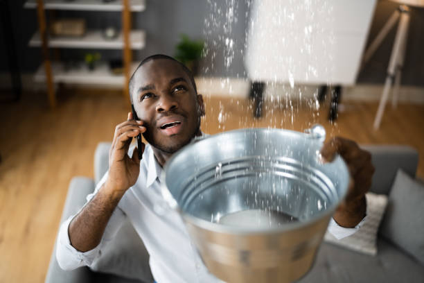 Best Water damage restoration near me  in Antlers, OK