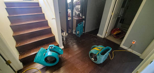 Best Flood damage cleanup  in Antlers, OK