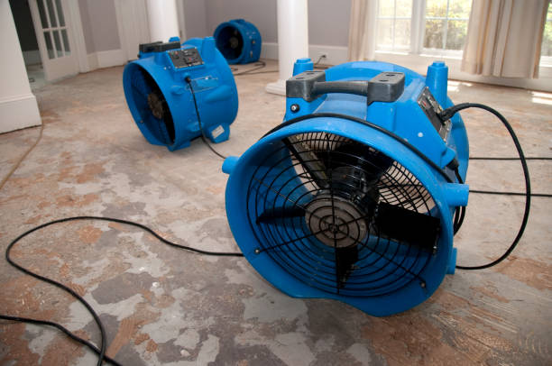 Best Water damage restoration services  in Antlers, OK