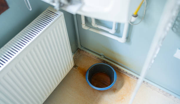 Best Professional water damage repair  in Antlers, OK