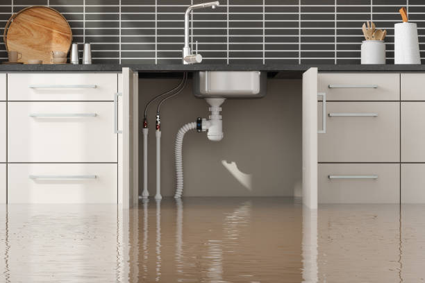 Best Water damage restoration near me  in Antlers, OK